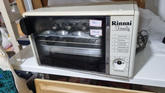 Forno Elétrico Rinnai Family