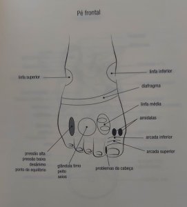 Massagens Para os Pés, Reflexologia, Luiza Sato, Lucia Cristina de Barros